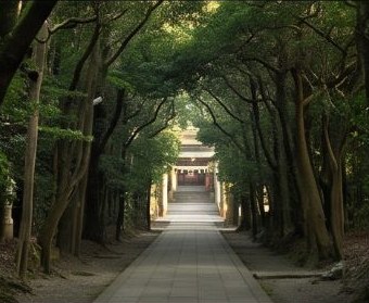 V6参照: 参道の並木道