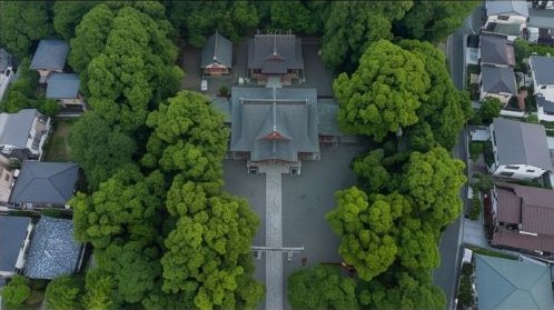 V8参照: 真俯瞰